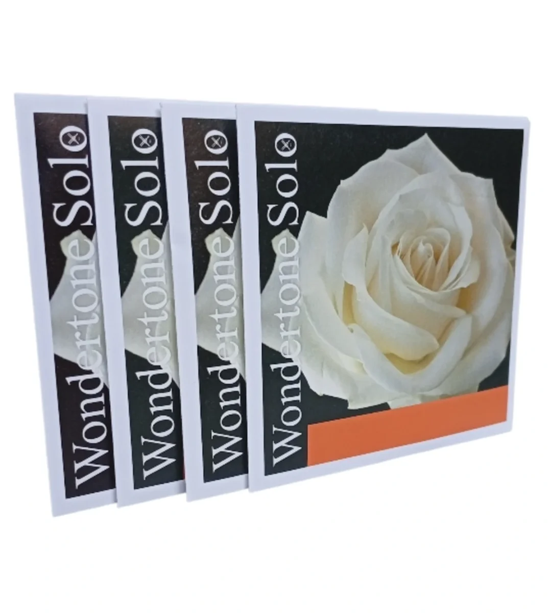 JUEGO violín, Wondertone Solo LA Sintetic/Aluminium