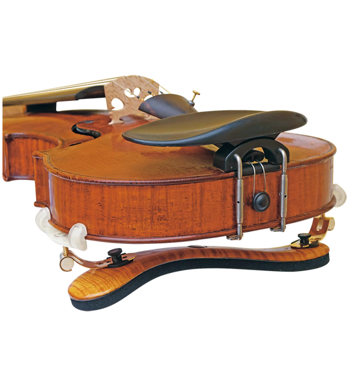 Barbada Viva La Música, viola