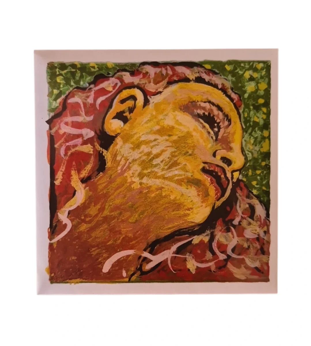 Cuerda RE p. violin Evah pirazzi NEO