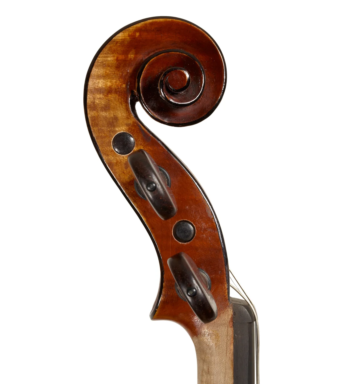 Guarnición: cambio de piel